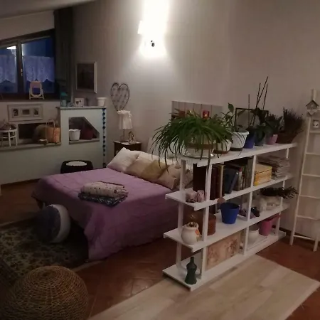 Appartement Loft 